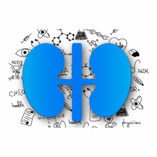nextmedia_logo_nierenrechner